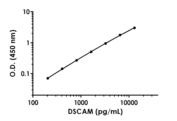 Sandwich ELISA - Anti-Dscam antibody [EPR22435-247] - BSA and Azide free (Detector) (AB270327)