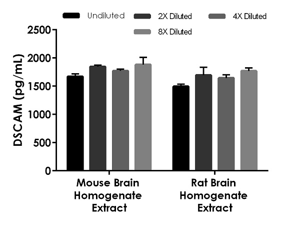 Sandwich ELISA - DSCAM ELISA Kit (AB269543)