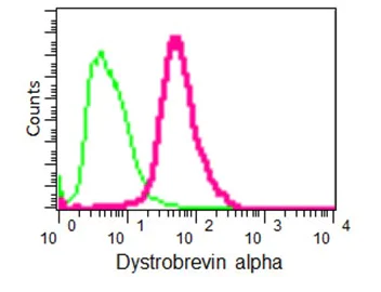 Flow Cytometry (Intracellular) - Anti-DTN-A antibody [EPR14112] - BSA and Azide free (AB240969)