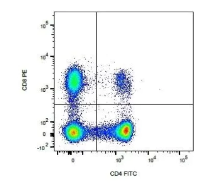 Flow Cytometry - Dual color: FITC + PE Anti-CD4 + CD8 antibody [YKIX 302.9 + YCATE 55.9] (AB34267)