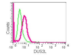 Flow Cytometry (Intracellular) - Anti-DUS2L antibody [EPR14042] - BSA and Azide free (AB250475)