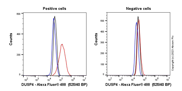 Anti-DUSP4 antibody [EPR19881]
