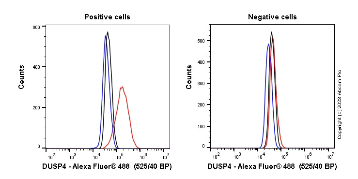 Flow Cytometry (Intracellular) - Anti-DUSP4 antibody [EPR19881] - BSA and Azide free (AB222487)