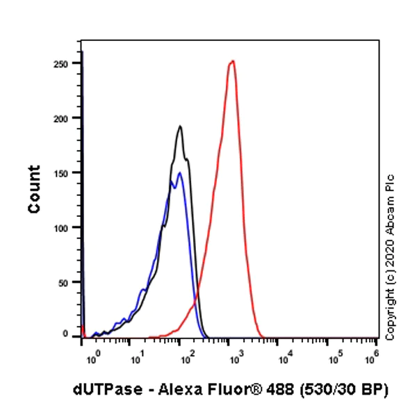 Flow Cytometry (Intracellular) - Anti-dUTPase antibody [EPR9608(B)] - BSA and Azide free (AB232044)