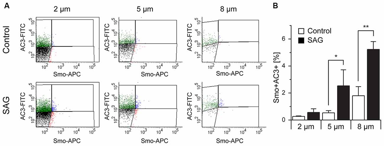 Flow Cytometry - DyLight® 488 Conjugation Kit (Fast) - Lightning-Link® (AB201799), expandable thumbnail