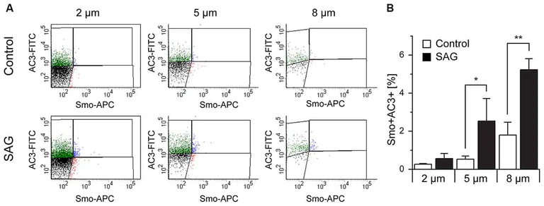 Flow Cytometry - DyLight® 488 Conjugation Kit (Fast) - Lightning-Link® (AB201799)