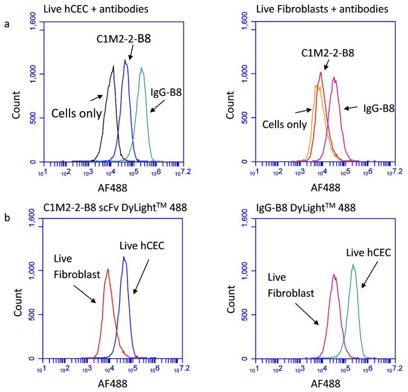 Flow Cytometry - DyLight® 488 Conjugation Kit (Fast) - Lightning-Link® (AB201799), expandable thumbnail