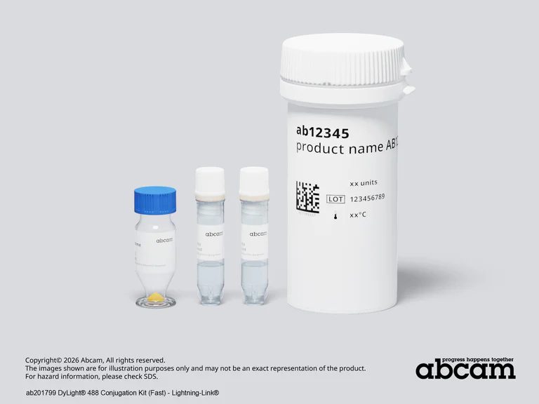 Other - DyLight® 488 Conjugation Kit (Fast) - Lightning-Link® (AB201799)