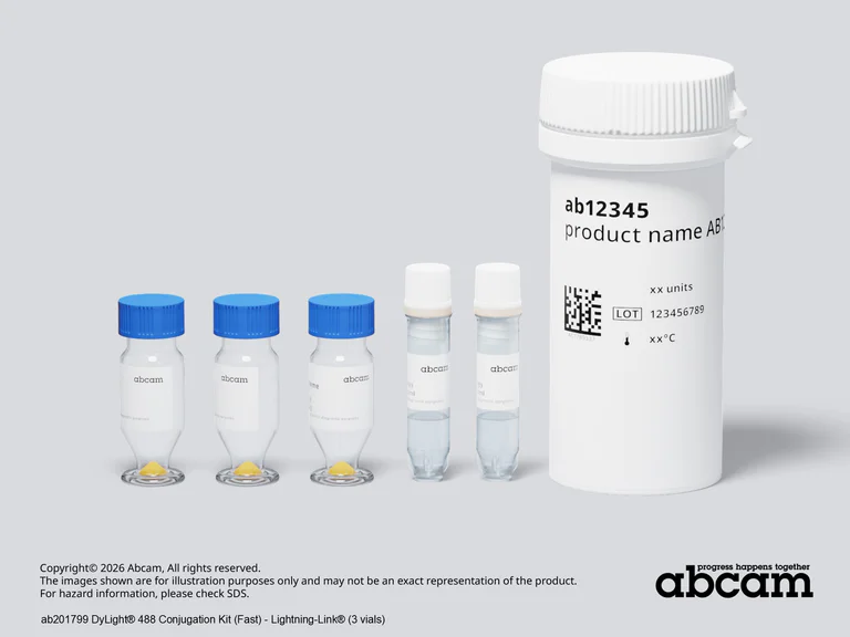 Other - DyLight® 488 Conjugation Kit (Fast) - Lightning-Link® (AB201799)