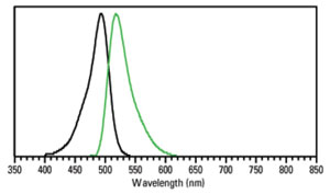 Flow Cytometry - DyLight® 488 Anti-T7 tag® antibody (AB117486)