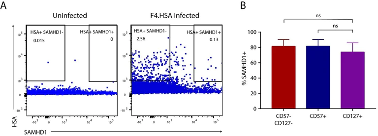 Flow Cytometry - DyLight® 594 Conjugation Kit (Fast) - Lightning-Link® (AB201801)
