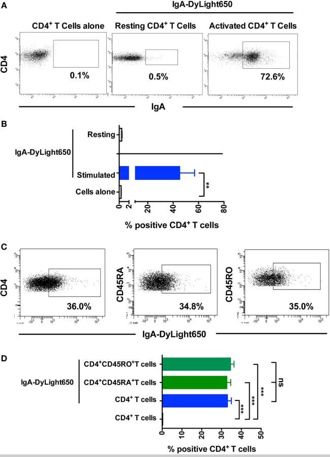 Flow Cytometry - DyLight® 650 Conjugation Kit (Fast) - Lightning-Link® (AB201803)