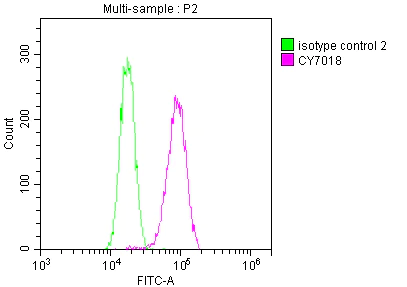 Flow Cytometry - Anti-Dynamin 2 antibody [1D8] (AB314168)
