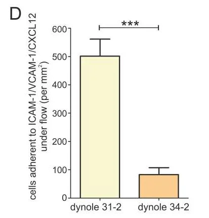 Functional Studies - Dynole® 31-2, Negative control for Dynolereg 34-2 (AB120464)