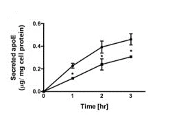 Functional Studies - Dynole® 34-2, dynamin I and dynamin II inhibitor (AB120463)