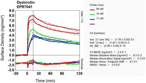 OI-RD Scanning - Anti-Dysbindin antibody [EPR7041] (AB133652)