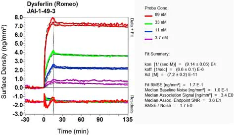 OI-RD Scanning - Anti-Dysferlin antibody [JAI-1-49-3] (AB124684)