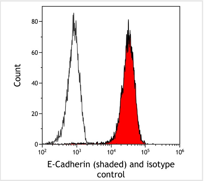 Flow Cytometry - Anti-E-Cadherin antibody [BLR088G] - BSA free (AB314063), expandable thumbnail