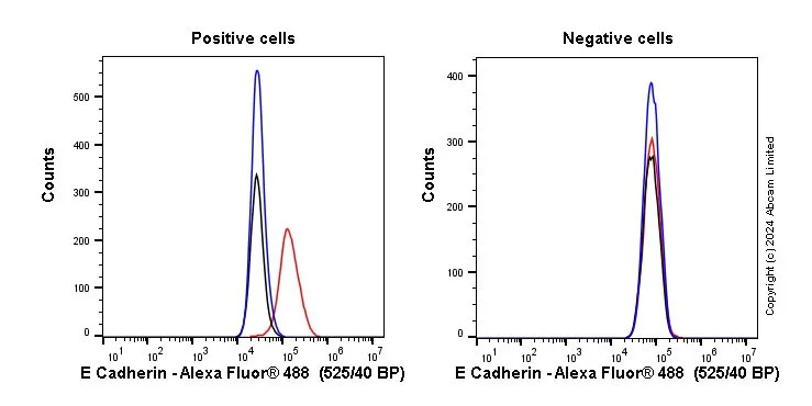 Flow Cytometry (Intracellular) - Anti-E Cadherin antibody [EP700Y] - BSA and Azide free (AB256580)