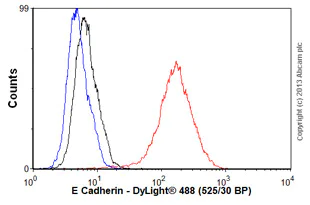 Flow Cytometry (Intracellular) - Anti-E Cadherin antibody [EP700Y] - Intercellular Junction Marker (AB40772)