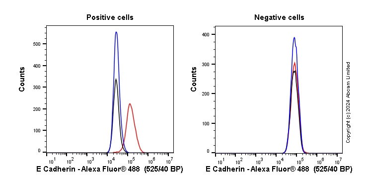 Flow Cytometry - Anti-E Cadherin antibody [EP700Y] - Low endotoxin, Azide free (ab201499), expandable thumbnail