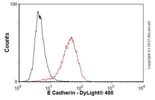 Flow Cytometry (Intracellular) - Anti-E Cadherin antibody [M168] - C-terminal (AB76055), expandable thumbnail