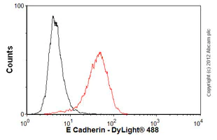Flow Cytometry (Intracellular) - Anti-E Cadherin antibody [M168] - C-terminal (AB76055)