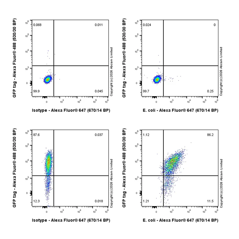 Flow Cytometry (Intracellular) - Anti-E. coli antibody [EPR28234-47] (AB326069)