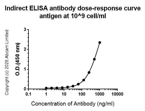 Indirect ELISA - Anti-E. coli antibody [EPR28234-47] (AB326069)