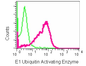 Flow Cytometry (Intracellular) - Anti-E1 Ubiquitin Activating Enzyme 1/UBA1 antibody [EPR14204(B)] - BSA and Azide free (AB250441), expandable thumbnail