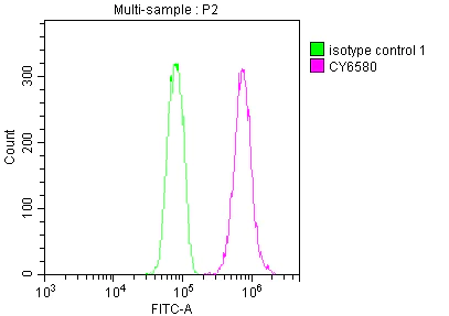 Flow Cytometry - Anti-E2F1 antibody [1D12] (AB288369)