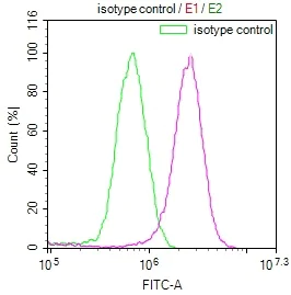 Flow Cytometry (Intracellular) - Anti-E2F4 antibody [24E12] (AB314180)