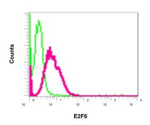 Flow Cytometry (Intracellular) - Anti-E2F6 antibody [EPR11201] - BSA and Azide free (AB249226), expandable thumbnail