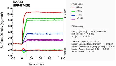 OI-RD Scanning - Anti-EAAT3 antibody [EPR6774(B)] (AB124802)