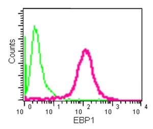 Flow Cytometry (Intracellular) - Anti-EBP1 antibody [EPR14569(B)] (AB180602)