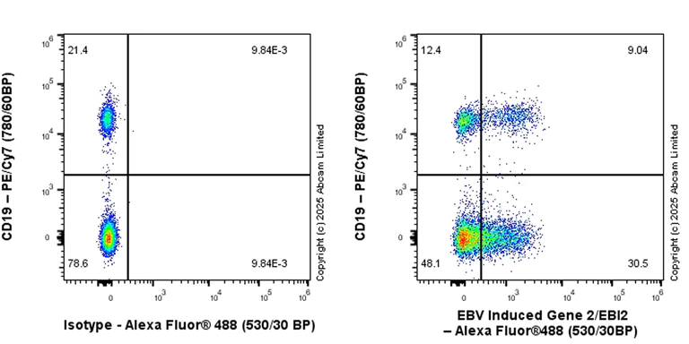 Flow Cytometry - Anti-EBV Induced Gene 2/EBI2 antibody [EPR27340-66] (AB323619)