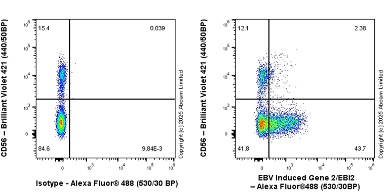 Flow Cytometry - Anti-EBV Induced Gene 2/EBI2 antibody [EPR27340-66] (AB323619)