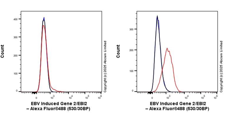 Flow Cytometry - Anti-EBV Induced Gene 2/EBI2 antibody [EPR27340-66] (AB323619)
