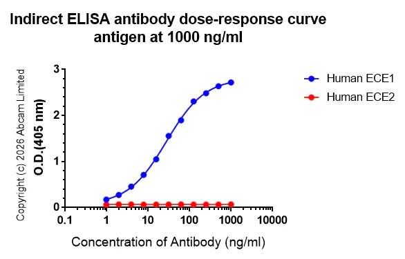 Indirect ELISA - Anti-ECE1 antibody [EPR30300-555] (AB326103)