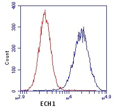 Flow Cytometry - Anti-ECH1 antibody [9D11AF3] (AB110294)