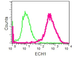 Flow Cytometry (Intracellular) - Anti-ECH1 antibody [EPR15449(B)] - C-terminal (AB189255)