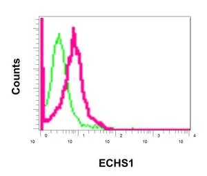 Flow Cytometry (Intracellular) - Anti-ECHS1 antibody [EPR11784(B)] - BSA and Azide free (AB249535)