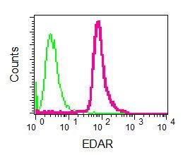 Flow Cytometry (Intracellular) - Anti-EDAR antibody [EPR8020] (AB137021), expandable thumbnail