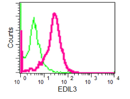 Flow Cytometry (Intracellular) - Anti-EDIL3/DEL1 antibody [EPR12451] (AB190692), expandable thumbnail