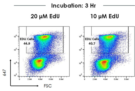 Flow Cytometry - EdU Assay / EdU Staining Proliferation Kit (iFluor 647) (AB222421), expandable thumbnail