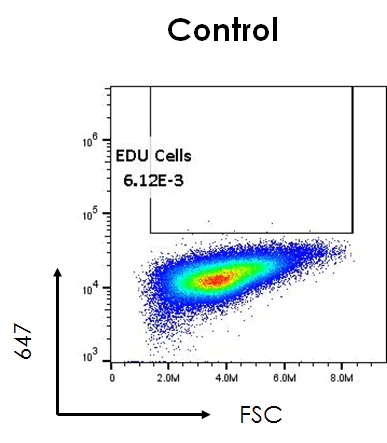 Flow Cytometry - EdU Assay / EdU Staining Proliferation Kit (iFluor 647) (AB222421)
