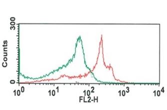 Flow Cytometry - EdU DNA Synthesis Monitoring Kit Flow Cytometry (AB287859), expandable thumbnail