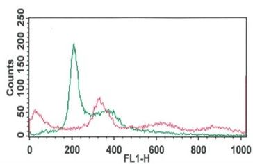 Flow Cytometry - EdU DNA Synthesis Monitoring Kit Flow Cytometry (AB287859), expandable thumbnail