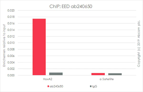 ChIP - Anti-EED antibody [EPR23043-5] - BSA and Azide free (AB264566)
