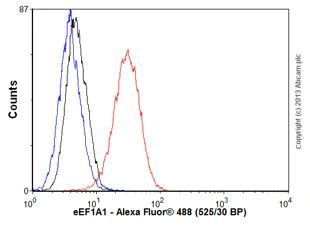 Flow Cytometry (Intracellular) - Anti-eEF1A1/EF-Tu + eEF1A1 + EE1AL3/EEF1A1P5 antibody [EPR9470] - BSA and Azide free (AB186380)